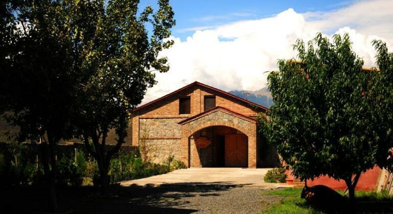 Shaloshvili's Cellar Hotel - Photo3