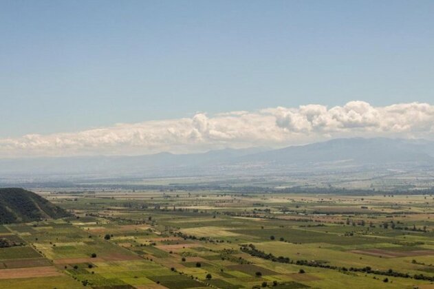 Summer House Telavi - Photo5