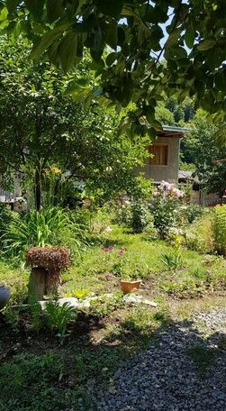 Sweet Home Lechuri - Photo3