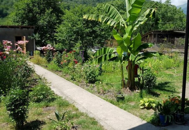 Sweet Home Lechuri - Photo5
