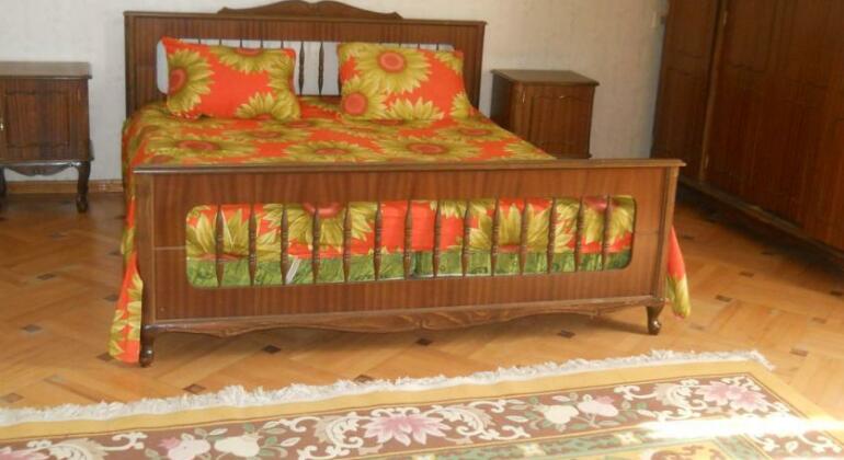 Tetriani Guesthouse - Photo5
