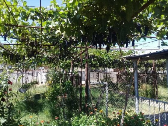 Wine Valley Telavi - Photo3