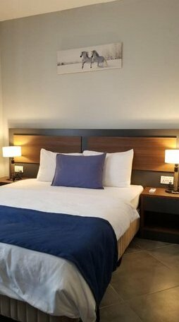 Euro Homes Hotel - Photo3