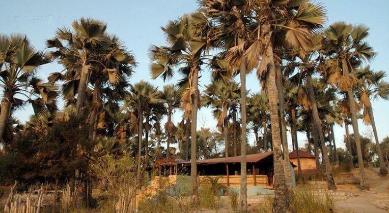 Nemasu Eco-lodge - Photo2