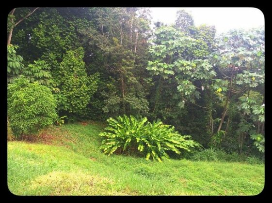 Aluna Ecolodge - Photo4