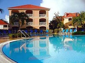Flamboyant Basse-Terre
