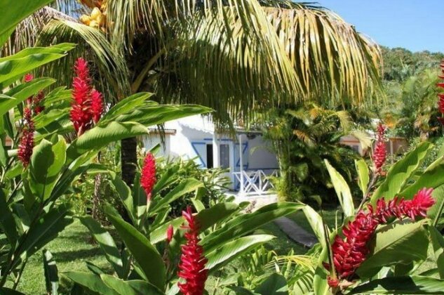 Fleurs des Iles - Photo5