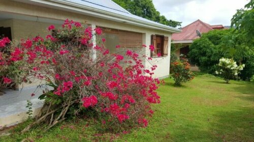 Holiday home Rue des Acacias - 2