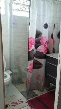 Le Balisier de Deshaies - Photo3