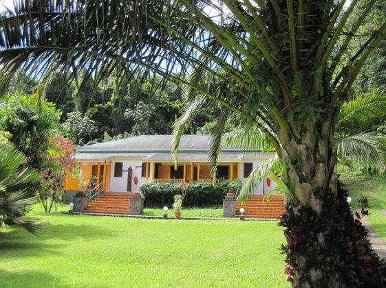 Les Cycas - Photo2