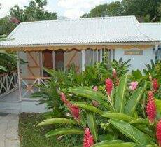 Studio Fleurs Des Iles