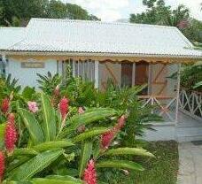 Studio Fleurs Des Iles