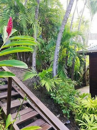 Villa La haut Matouba - 2 - Photo3