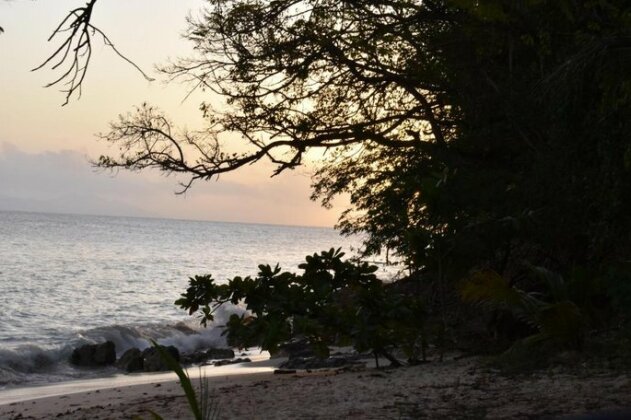 Bungalow Faup - Photo4