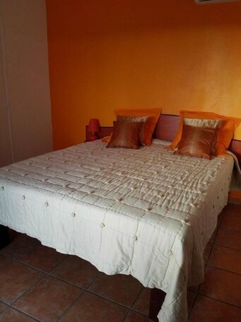 F2 -Hibiscus Tropicale - Photo3