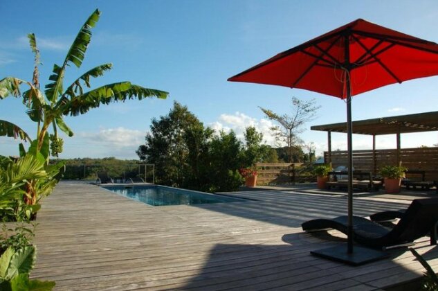 La Case des Caraibes - Photo3