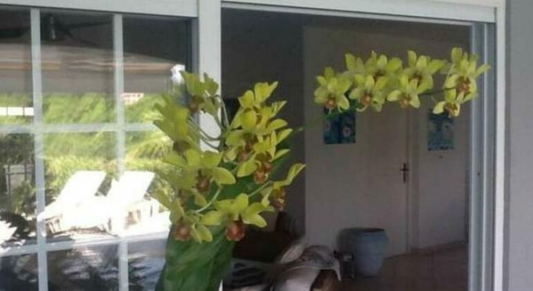 Villa Daliane - Photo2