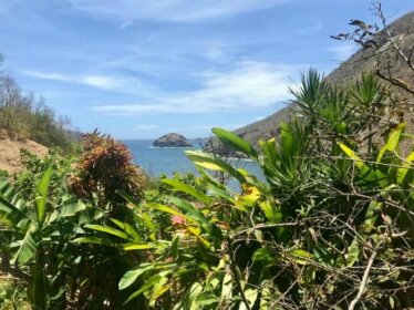 Villa Figues et Mangos