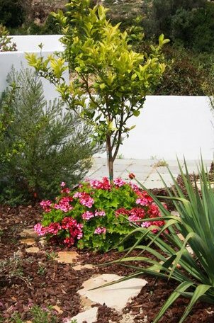 Plakoti Holiday Village - Photo3