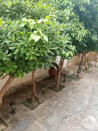 Aegina's Flowers house - Photo3