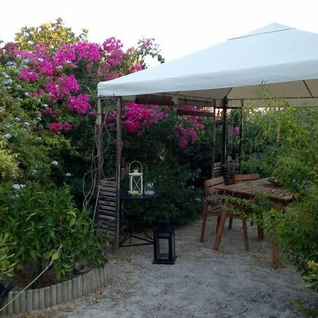 Aegina's Oasis - Photo4
