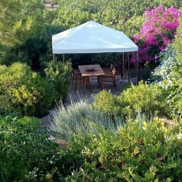 Aegina's Oasis