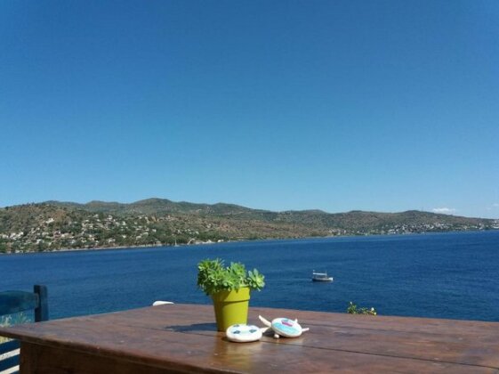 Almyra seaside - Photo2