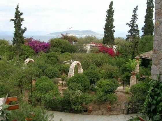 Nafsika Aegina - Photo5