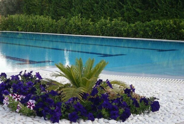 Cosmos Resort