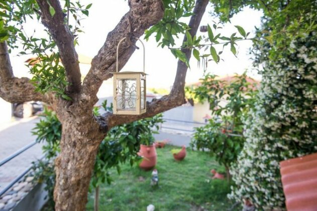 Hippie's House - Photo3