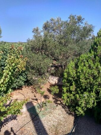 Aphrodite my home - Photo5