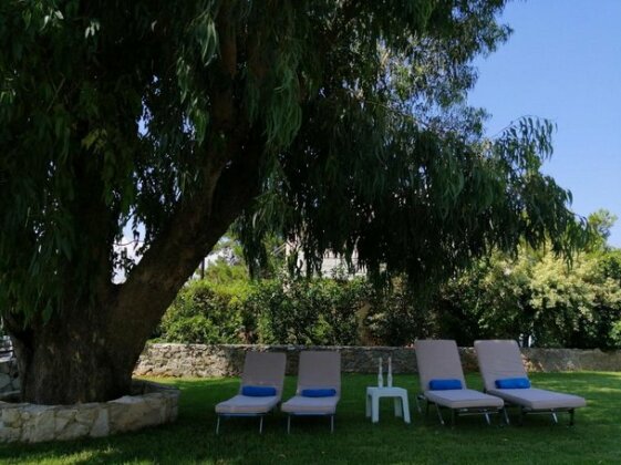 Cedar Tree Villa - Photo4