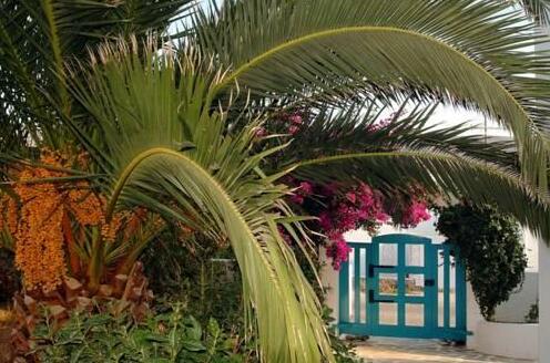 Gryspo's Hotel - Photo4