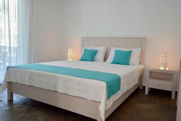 Villa Sofia Andros Island - Photo4