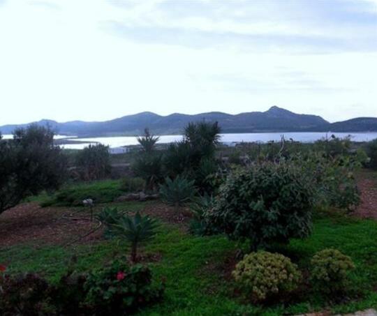 Cactus Antiparos - Photo5