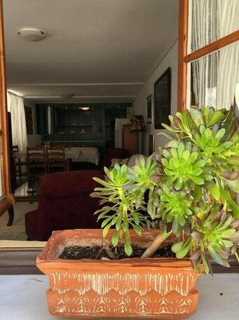 Marina's place Argolis - Photo5