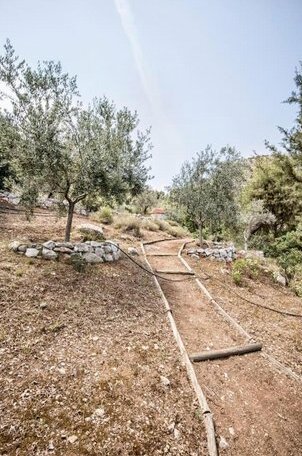 Rodia Eco stay house in Epidavros - Akros Estate - Photo5