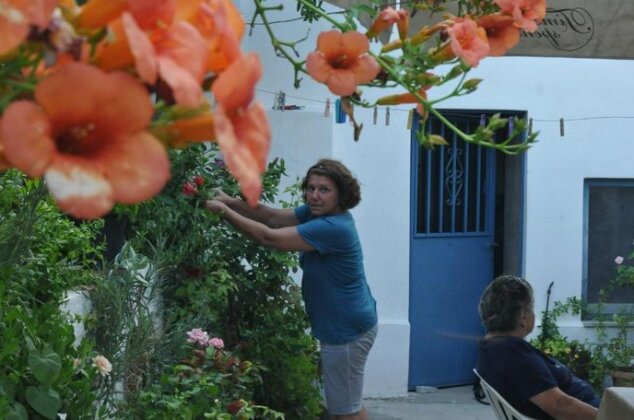 Small House for Holidays - Photo5