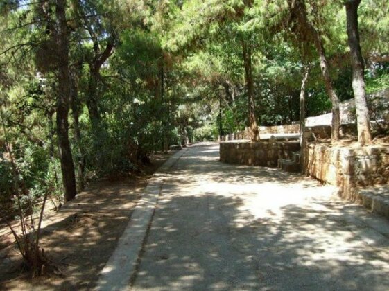 Myth1 - Hike Around Ancient Panathenaic Stadium Near Metro and next to Big Park - Studio - Photo3