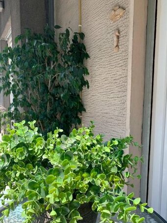 Renovated cozy apartment near to Acropolis - Photo5
