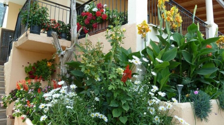 Anna Studios Zola Cephalonia - Photo3
