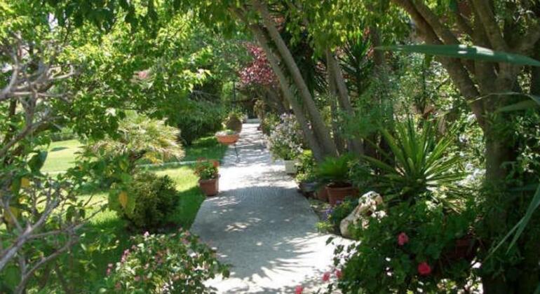 Baha-Ammes - Photo4