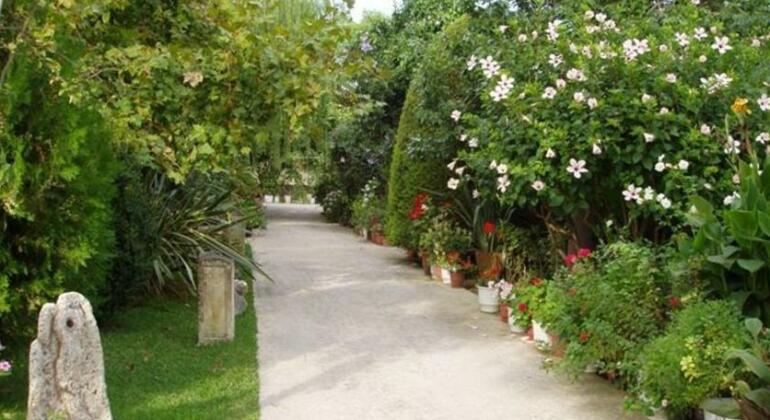 Baha-Ammes - Photo5