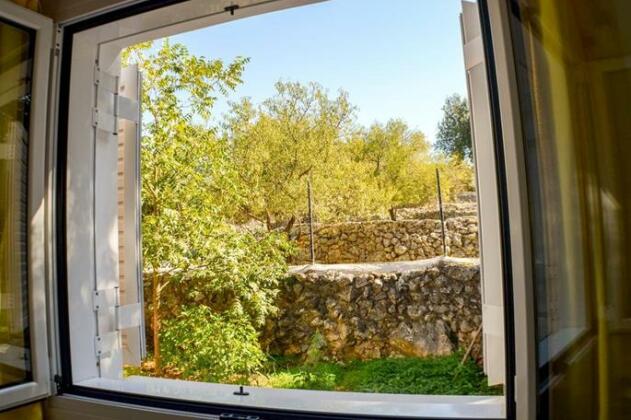 Cottage Sakkatos - Photo4