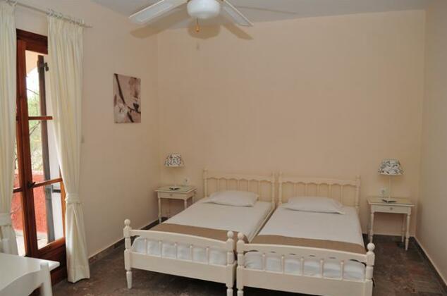 Dendrolivano - Photo2
