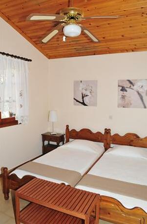 Dendrolivano - Photo3