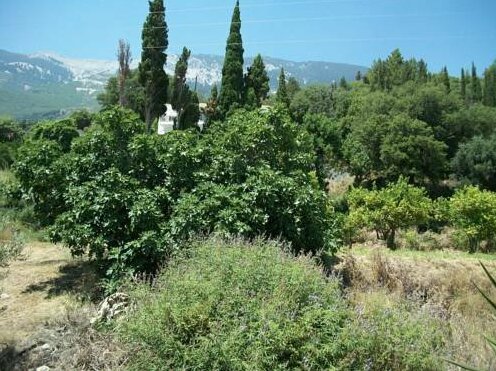 Diona Studios Leivathos - Photo2