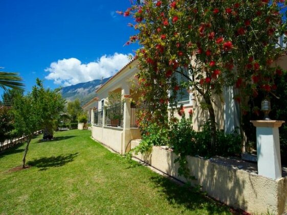 Eleftheria Studios Cephalonia - Photo3