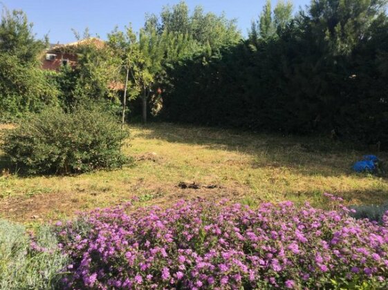 Flat with garden - Photo2