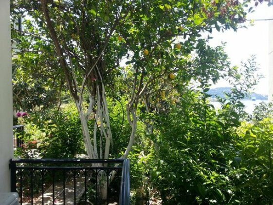 Friderica House - Photo5